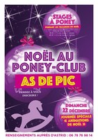Stage de Noel au Poney Club